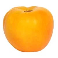 Yellow Tomato