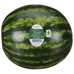 Organic Seedless Watermelon
