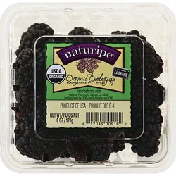 Organic Blackberries Prepacked