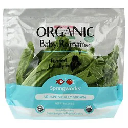 Organic Lettuce Romaine
