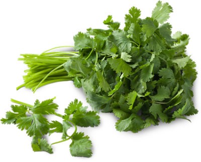 slide 1 of 1, Cal-Organic Farms Organic Cilantro 1 Bunch, 1 ct