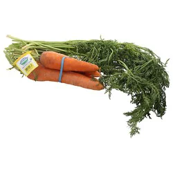 Carrots Bunch Organic