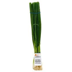 Organic Green Onions 1 Bunch