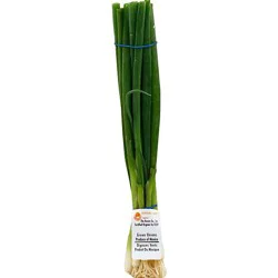 Organic Green Onions 1 Bunch
