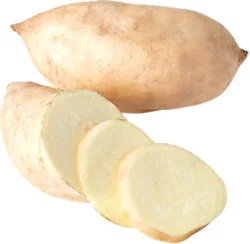 Organic White Sweet Potato/yam With Yellow Skin & White Flesh