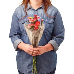 Floral BLOOMS by H-E-B Rainbow Mini Carnations Flower Bouquet