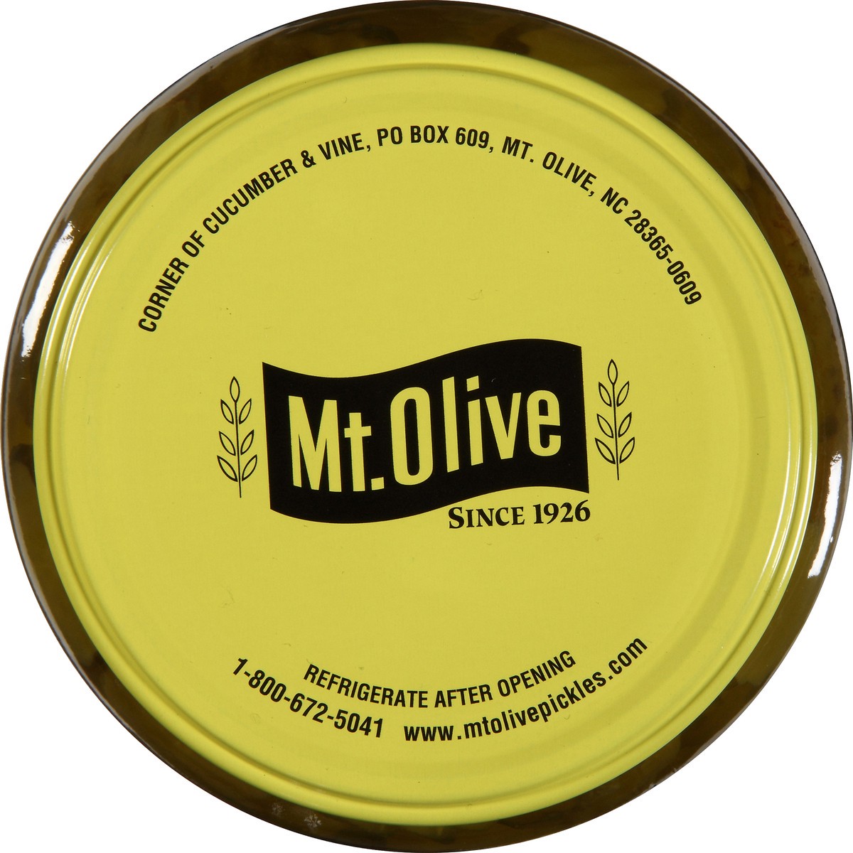 slide 5 of 8, Mt. Olive Hamburger Dill Chips Pickles 80 fl oz Jar, 80 fl oz