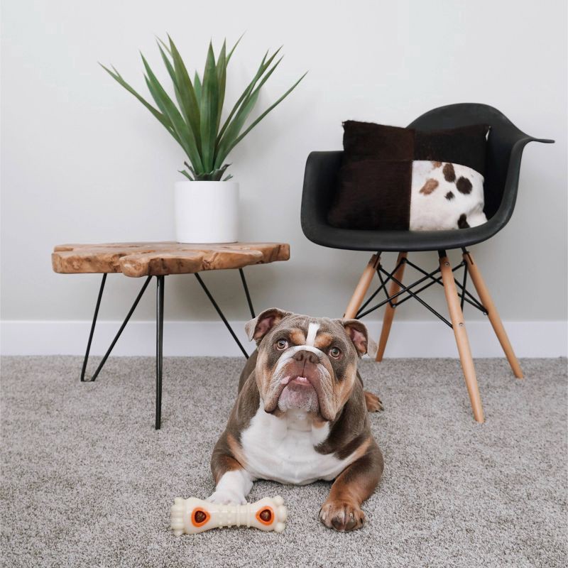 slide 4 of 4, Nylabone Power Chew Knuckle Bone & Pop-In Treat Toy Combo Chicken Pop-In Medium/Wolf - Up to 35 lbs.(1 Count), MED