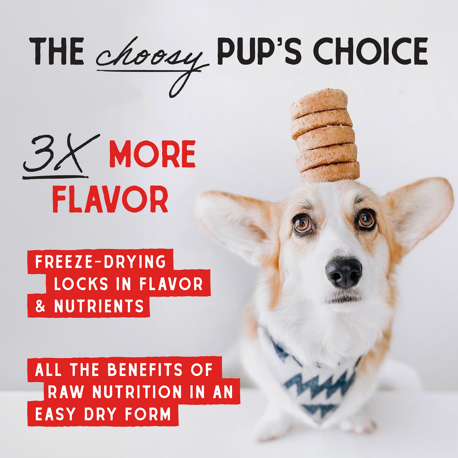 slide 6 of 6, STELLA & CHEWYS Stella & Chewy's Freeze-Dried Raw Dinner Patties for Dogs - Chewy's Chicken Recipe - 5.5 Ounce Bag, 5.5 oz