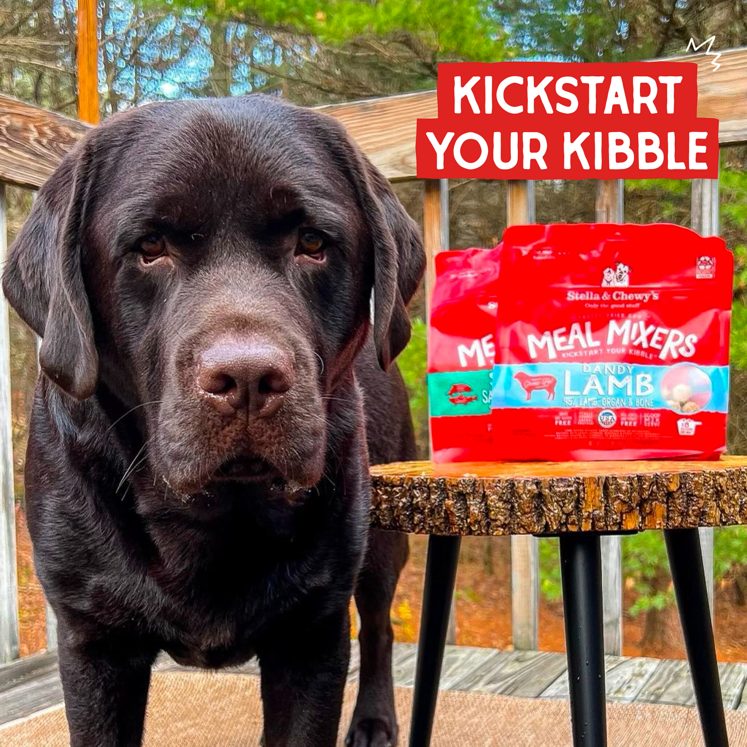 slide 4 of 8, Stella & Chewy's Freeze Dried Lamb, 3.5 oz