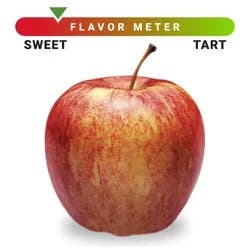 Large Gala Apple - Each