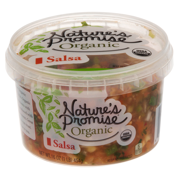 slide 1 of 1, Nature's Promise Organic Salsa, 16 oz