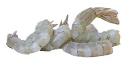 Shrimp Raw Frozen 31 To 40 Count - 1 Lb