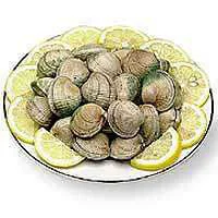 Clam Steamer Live - 1 Lb