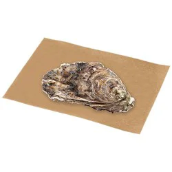 Oysters Blue Point 1 Oz 1 Count - Each