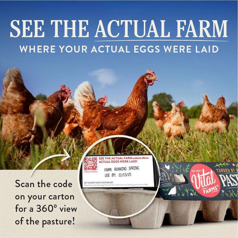 slide 13 of 15, Vital Farms Pasture-Raised Grade A Large Eggs - 12ct, 12 ct