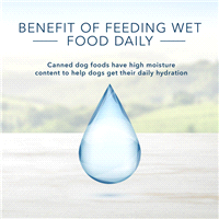 slide 10 of 17, Blue Buffalo Turkey Meatloaf Dog Food, 12.5 oz