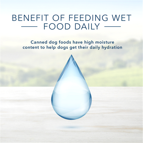 slide 3 of 17, Blue Buffalo Turkey Meatloaf Dog Food, 12.5 oz