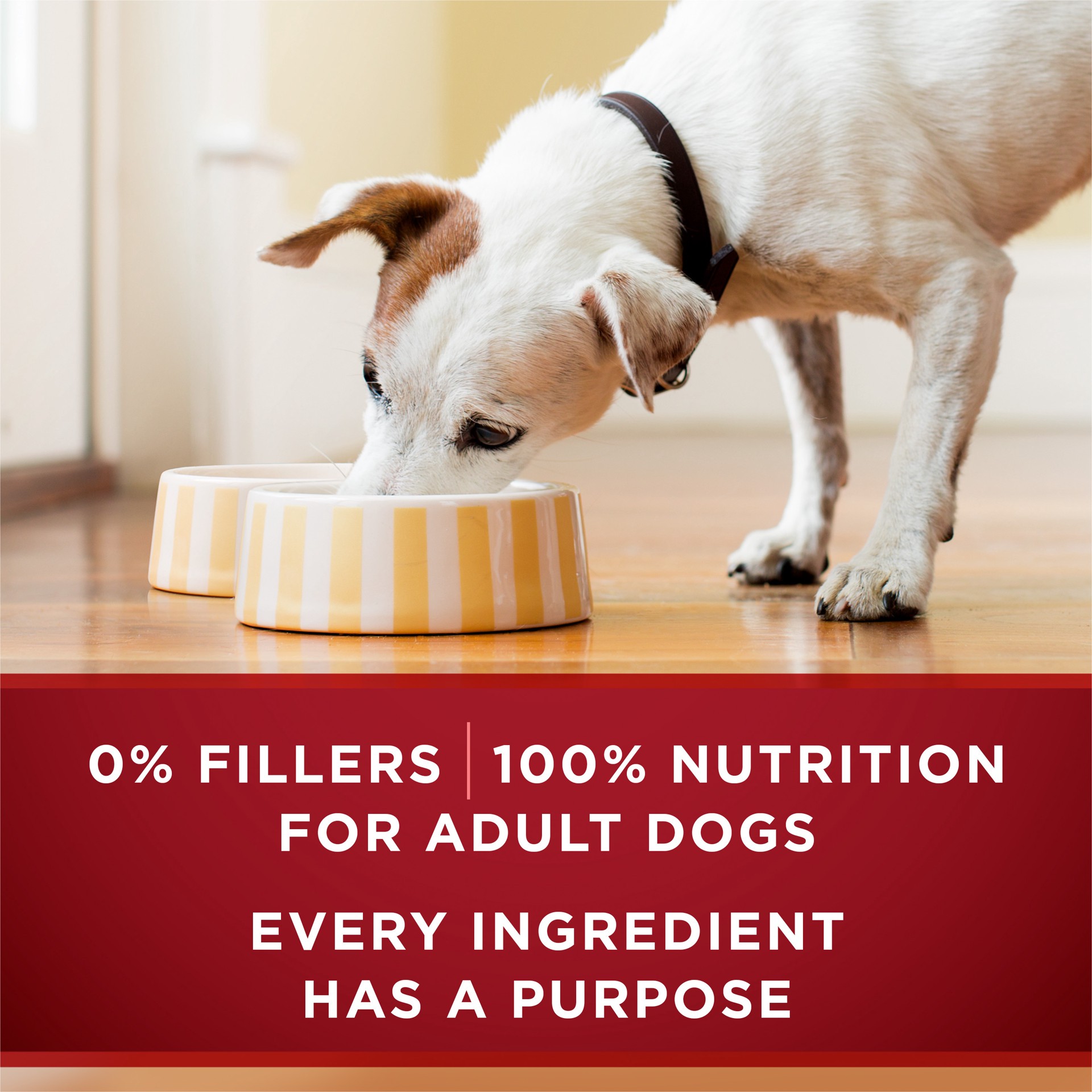 slide 2 of 8, ONE Purina ONE High Protein Wet Dog Food True Instinct Tender Cuts in Dog Food Gravy With Real Beef and Wild-Caught Salmon, 13 oz