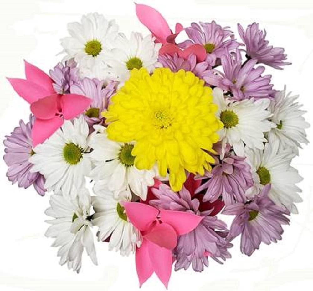 slide 1 of 1, Riverdale Farms Spring Birdhouses Flowers, 1 ct