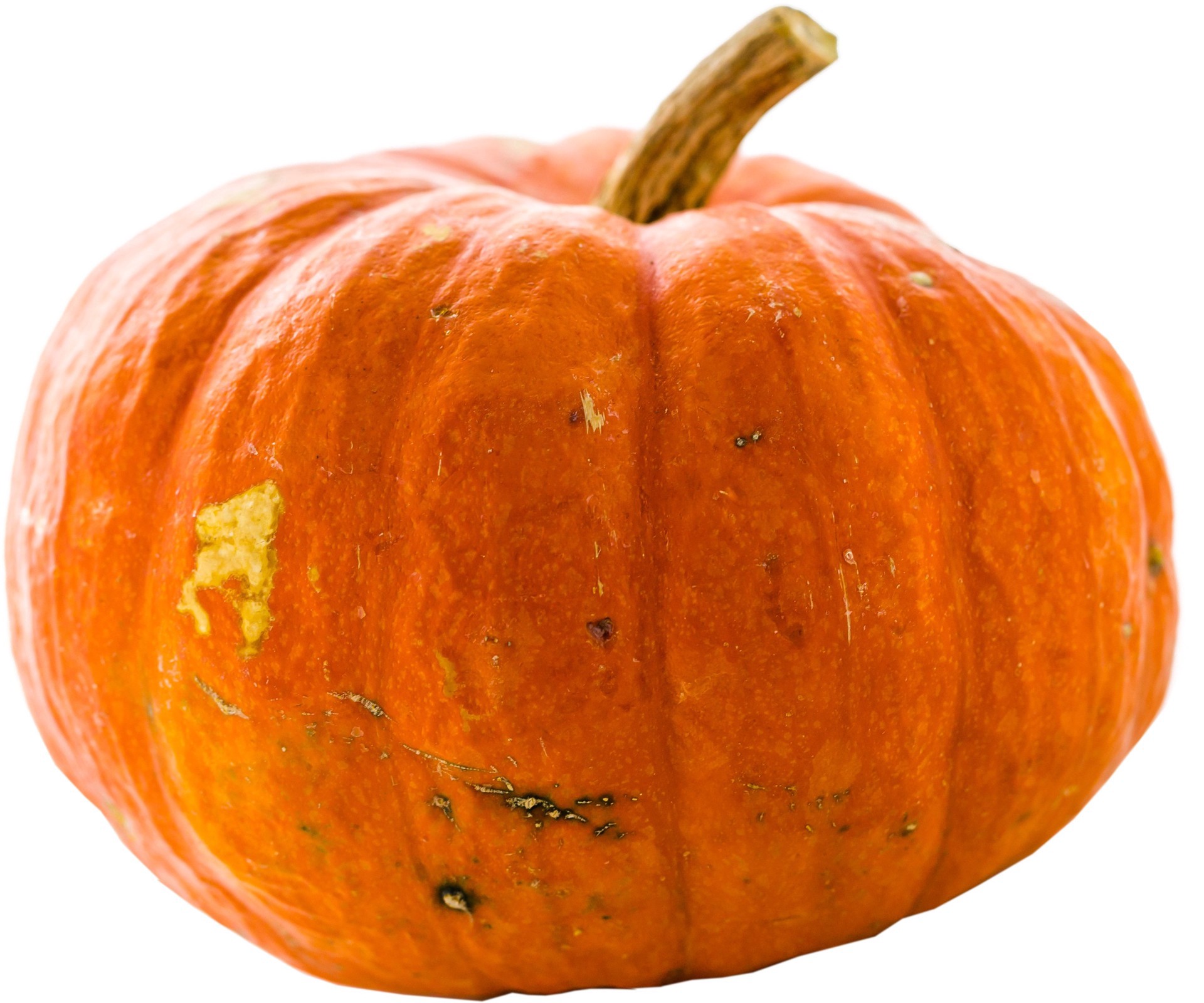 slide 1 of 1, Produce Squash - 1 ea, 1 ct