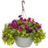 slide 3 of 13, Garden Exclusive 13.0 Hanging Basket, 1 ct