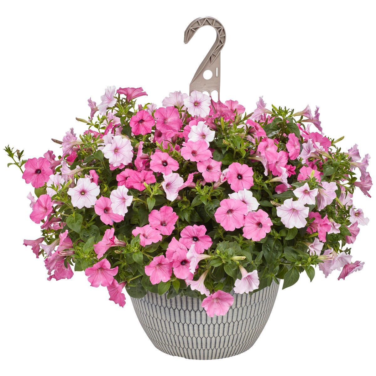 slide 1 of 13, Garden Exclusive 13.0 Hanging Basket, 1 ct