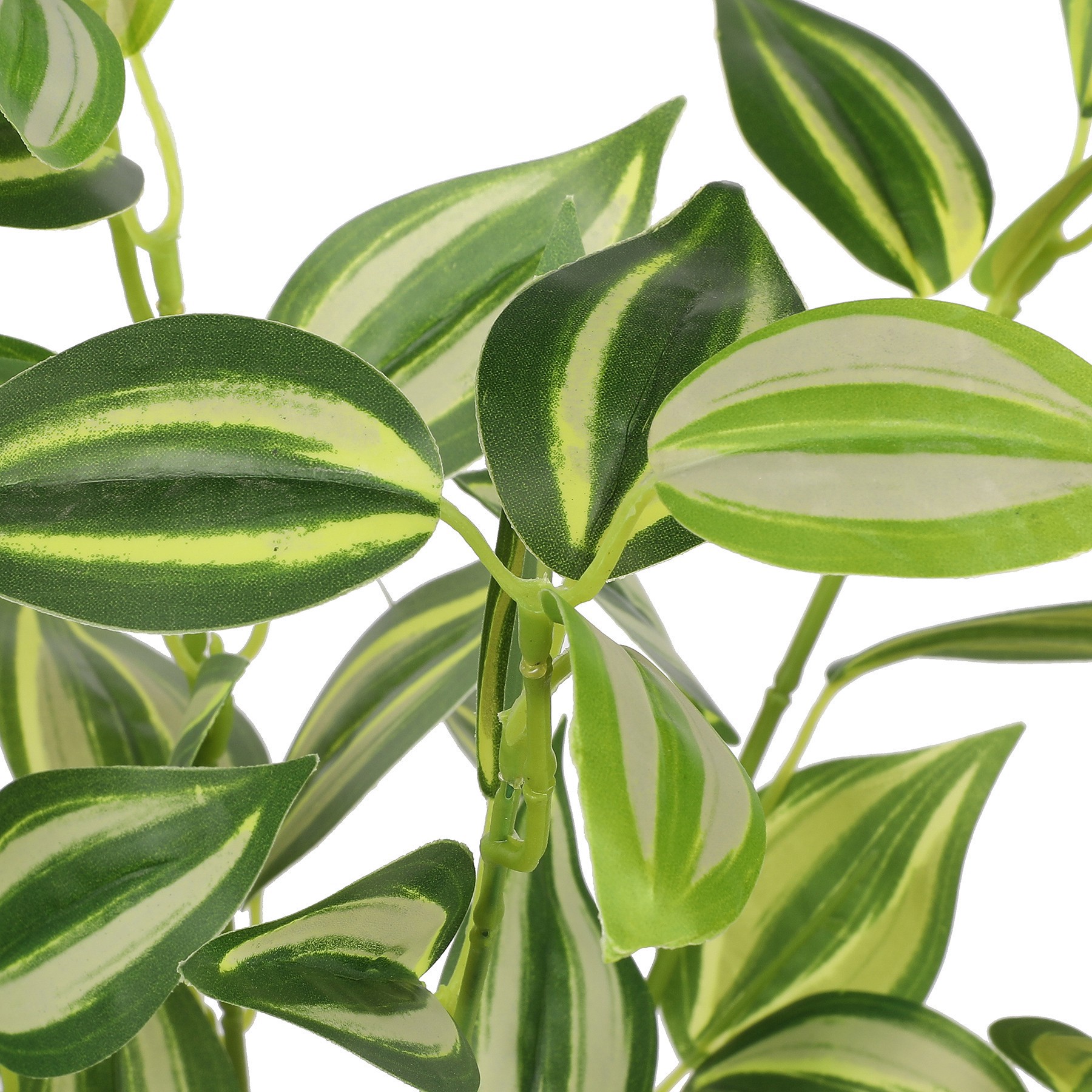 slide 2 of 2, 18.5" Inchplant By Ashland, 18.5 in