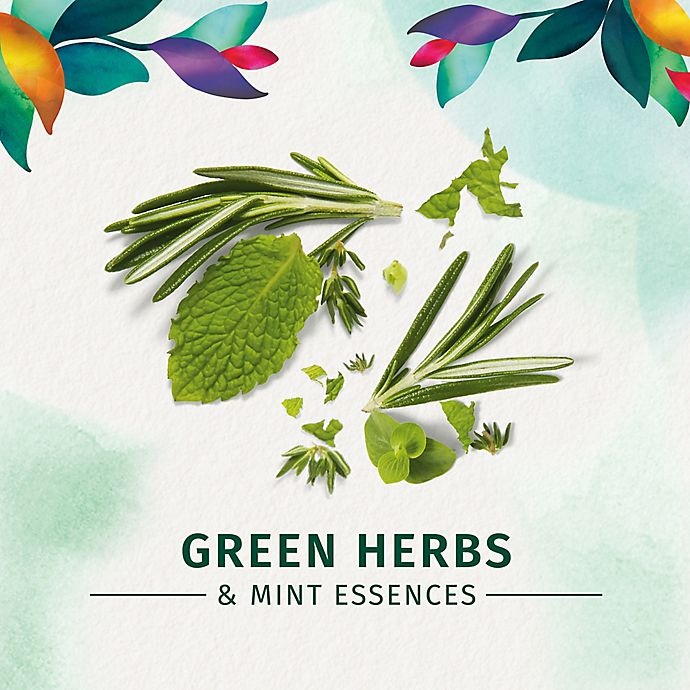 slide 4 of 5, Herbal Essences Daily Detox Quench Green Herbs & Mint Shampoo, 10.1 fl oz