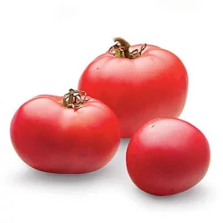 Fresh Texas Grown Tomatoes