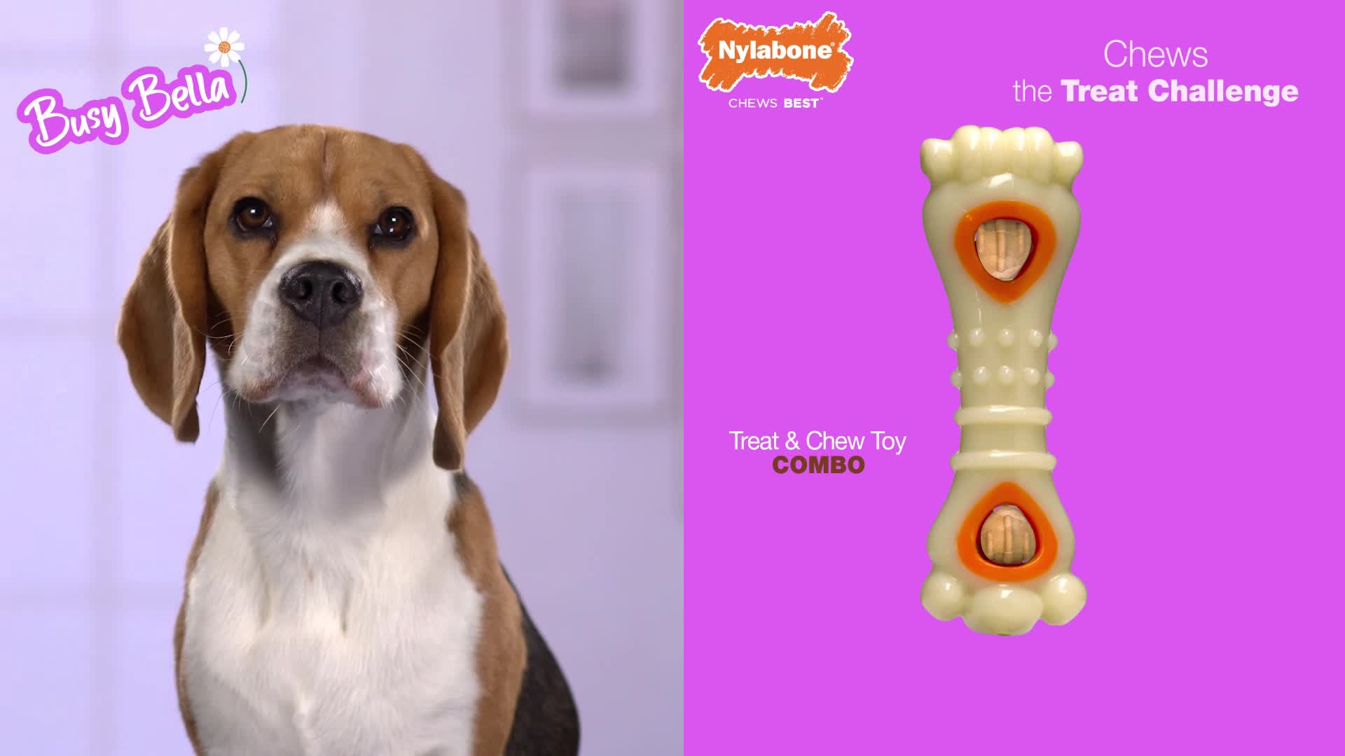 slide 6 of 10, Nylabone Power Chew Gator Tail Alternative Chew Toy Chicken Large/Giant - Up to 50 lbs.(1 Count), 1 ct