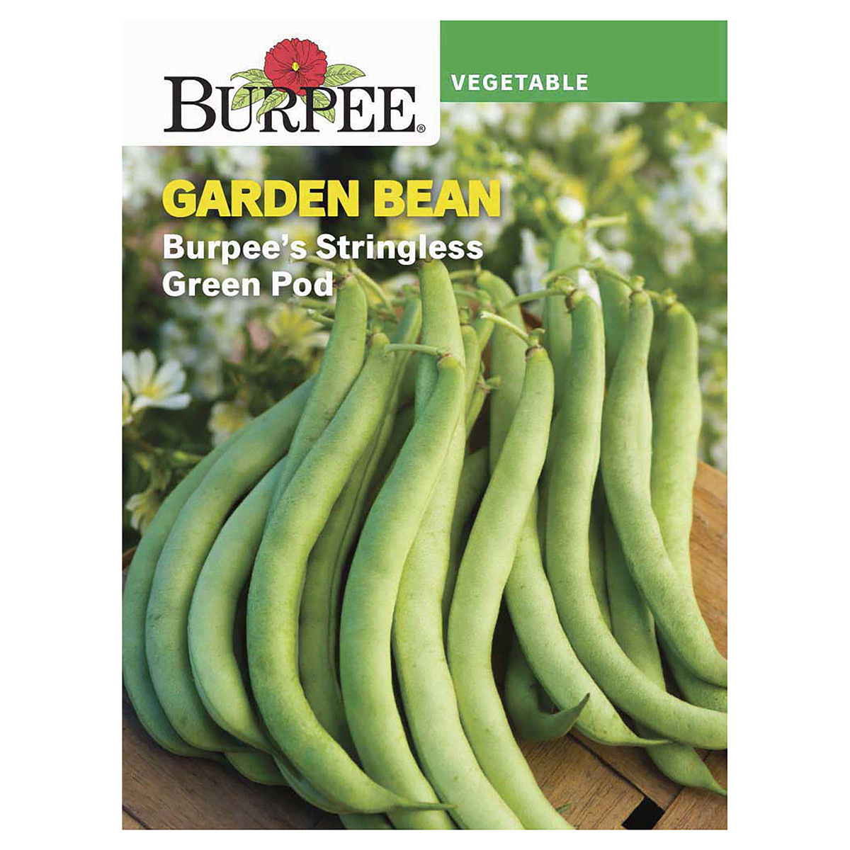 slide 1 of 1, Burpee Stringless Green Pod Bean Seeds, 1 ct
