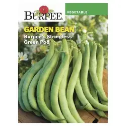 Burpee Stringless Green Pod Bean Seeds