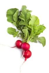 Produce Radish 1 ea