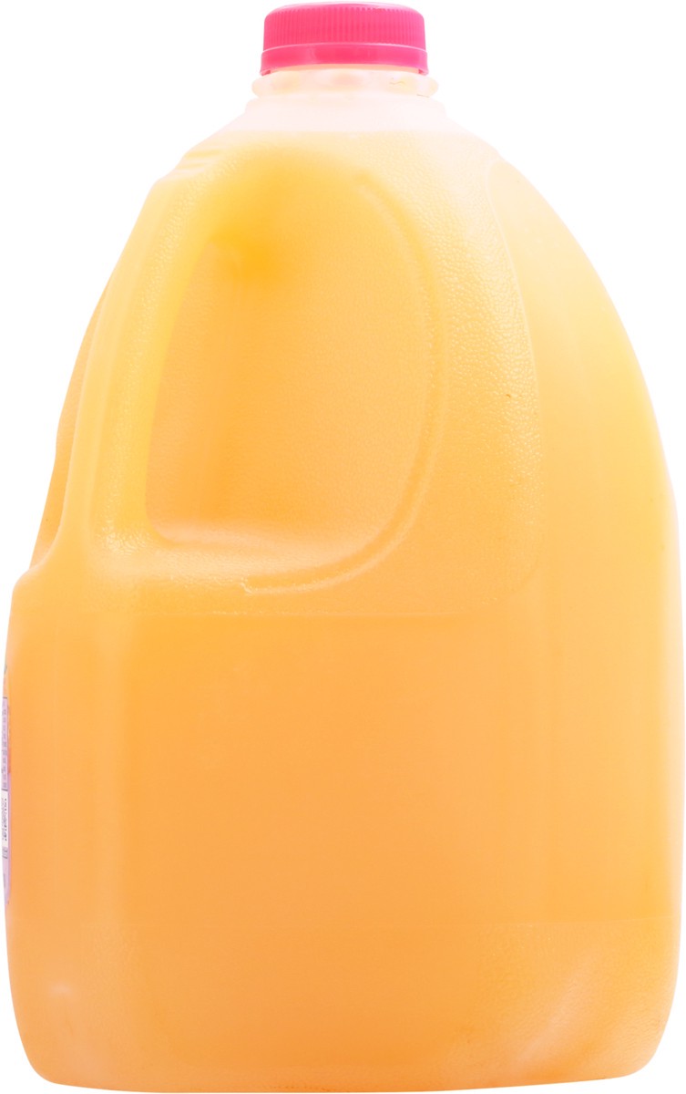 slide 12 of 13, Tampico Mango Punch Juice 1 gl, 1 gal