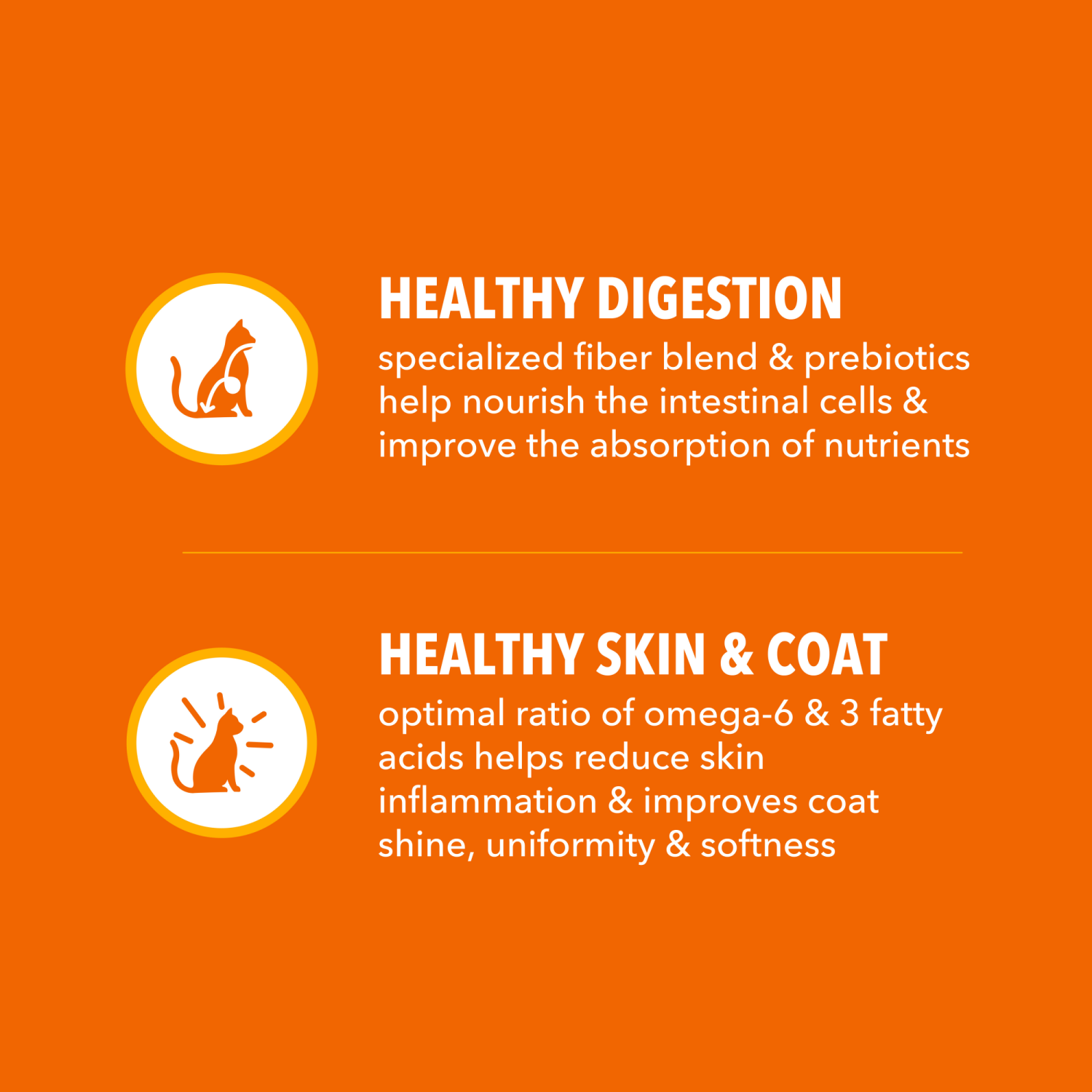 slide 8 of 8, Proactive Health Healthy Premium Adult 1+ with Salmon Cat Nutrition 56 oz, 56 oz