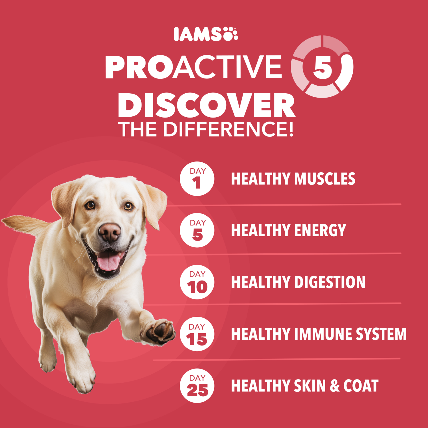 slide 6 of 8, IAMS Proactive Health Large Breed Adult Dry Dog Food Lamb & Rice Recipe, 40 Lb. Bag, 40 lb