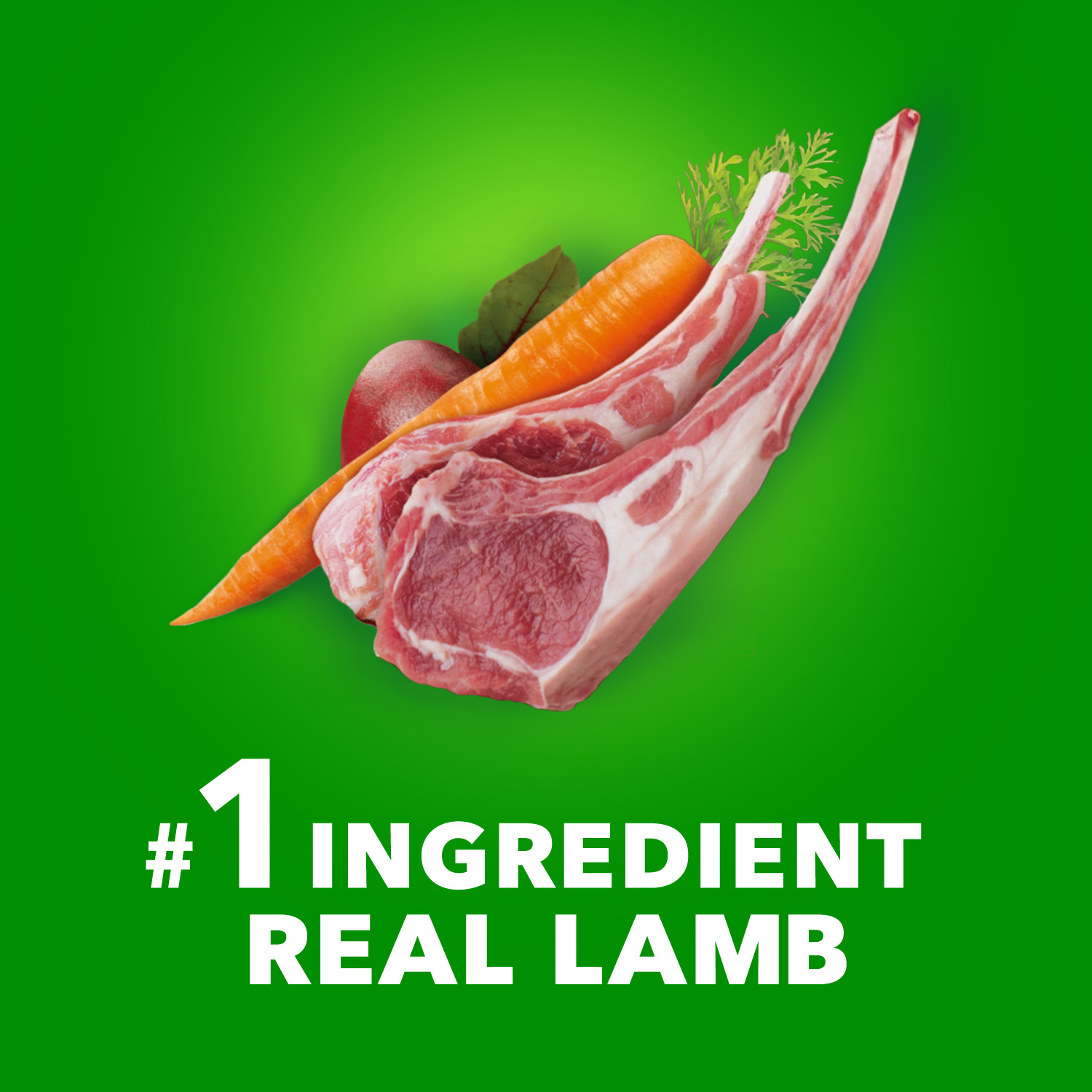 slide 7 of 8, IAMS Proactive Health Large Breed Adult Dry Dog Food Lamb & Rice Recipe, 40 Lb. Bag, 40 lb