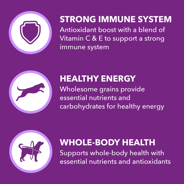 slide 20 of 29, IAMS Advanced Health Adult 1+ Immune Health Super Premium Chicken & Superfoods Recipe Dog Food 6 lb, 6 lb