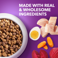 slide 11 of 29, IAMS Advanced Health Adult 1+ Immune Health Super Premium Chicken & Superfoods Recipe Dog Food 6 lb, 6 lb