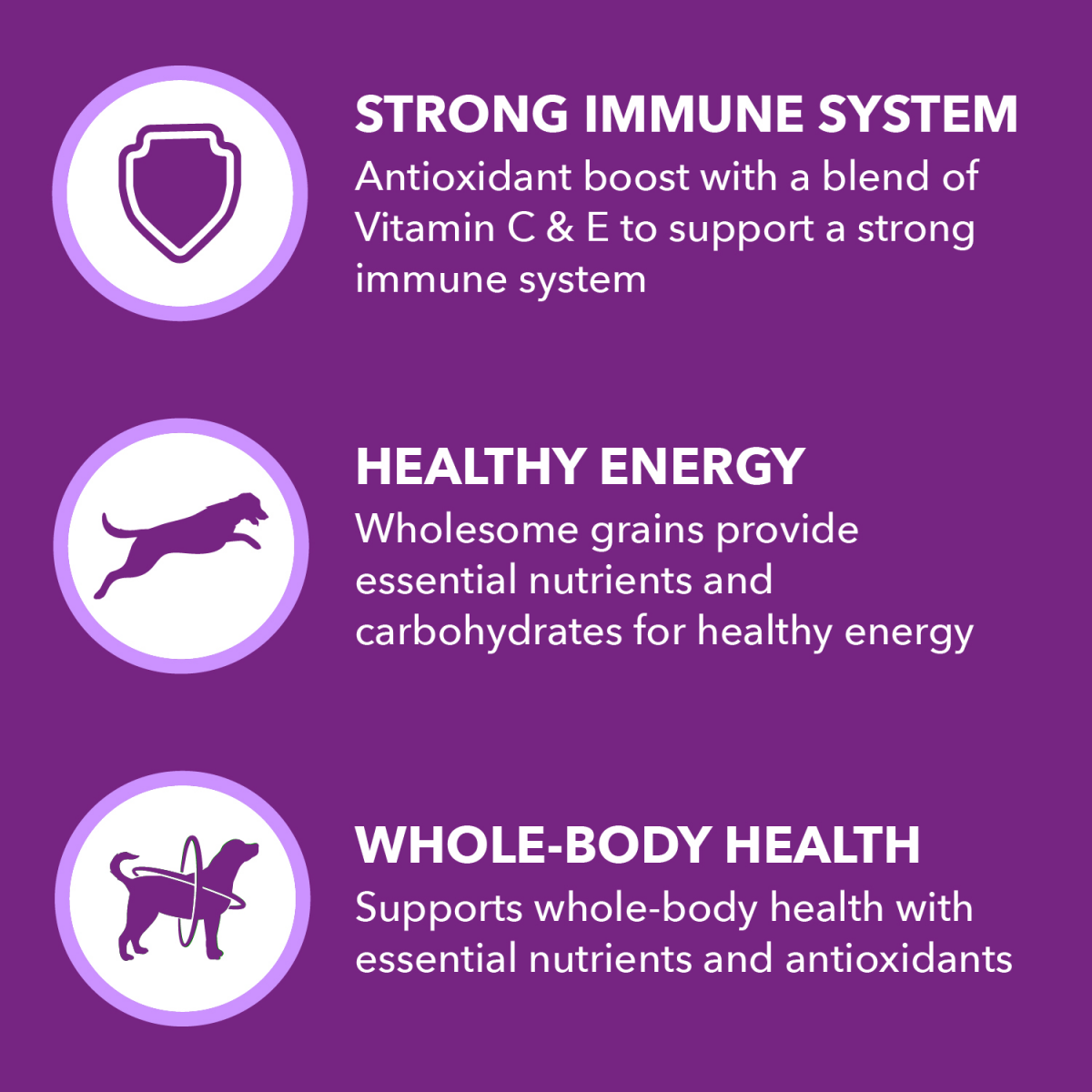 slide 21 of 29, IAMS Advanced Health Adult 1+ Immune Health Super Premium Chicken & Superfoods Recipe Dog Food 13.5 lb, 13.5 lb