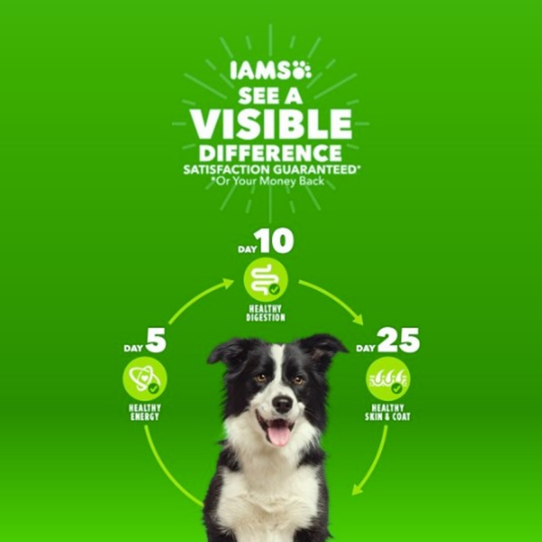 slide 24 of 29, IAMS Advanced Health Adult 1+ Immune Health Super Premium Chicken & Superfoods Recipe Dog Food 13.5 lb, 13.5 lb