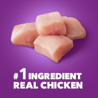 slide 7 of 29, IAMS Advanced Health Adult 1+ Immune Health Super Premium Chicken & Superfoods Recipe Dog Food 13.5 lb, 13.5 lb