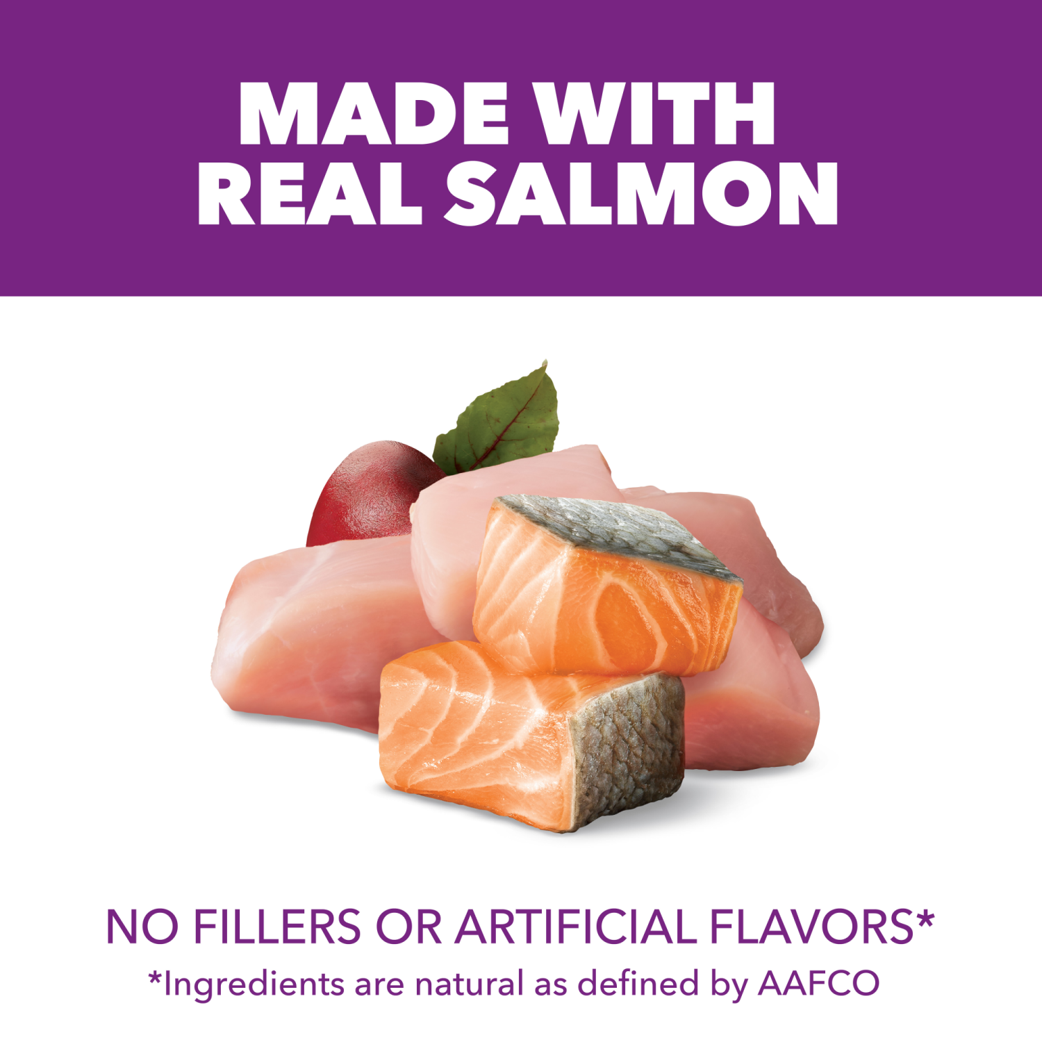 slide 7 of 8, IAMS Advanced Health Adult 1+ Skin & Coat Super Premium Chicken & Salmon Recipe Dog Food 6 ea, 6 lb