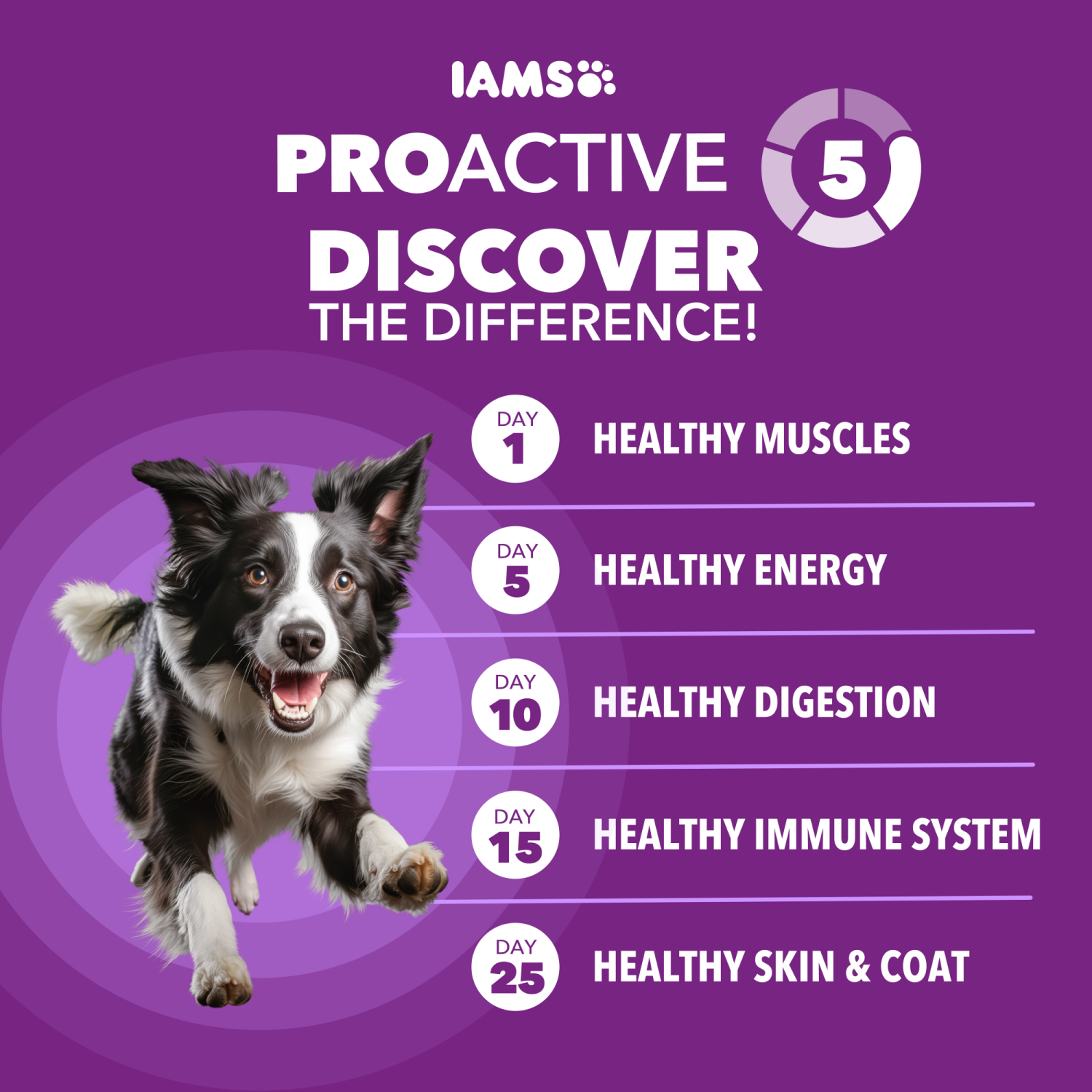 slide 6 of 8, IAMS Advanced Health Skin & Coat Super Premium Chicken & Salmon Recipe Dog Food 13.5 lb, 13.5 lb