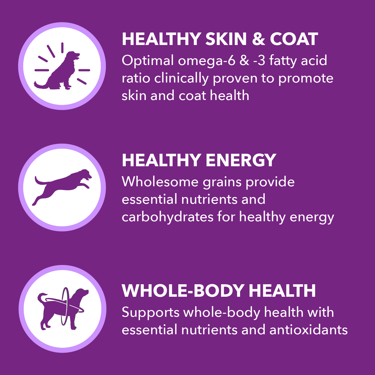 slide 4 of 8, IAMS Advanced Health Adult 1+ Skin & Coat Chicken & Salmon Recipe Dog Food 27 lb, 27 lb