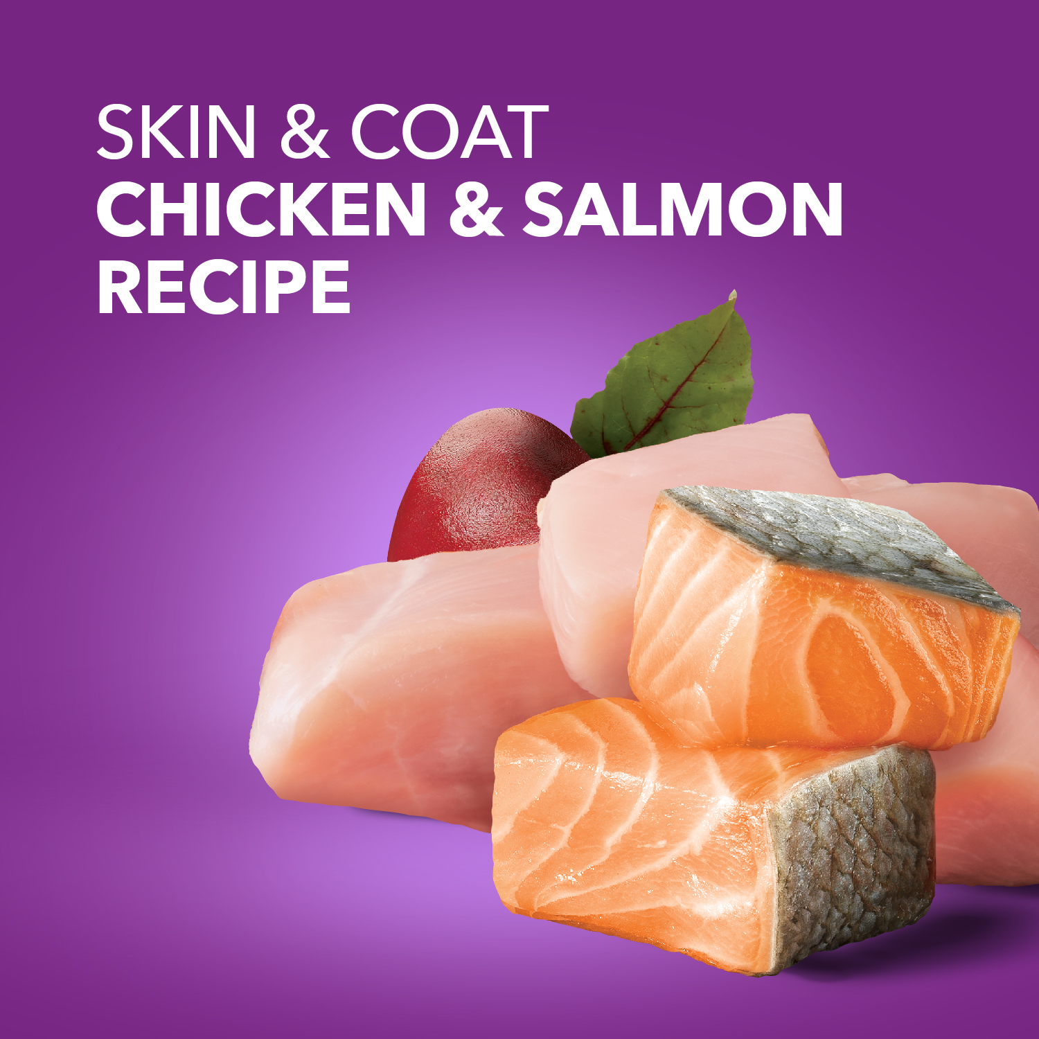 slide 7 of 8, IAMS Advanced Health Adult 1+ Skin & Coat Chicken & Salmon Recipe Dog Food 27 lb, 27 lb