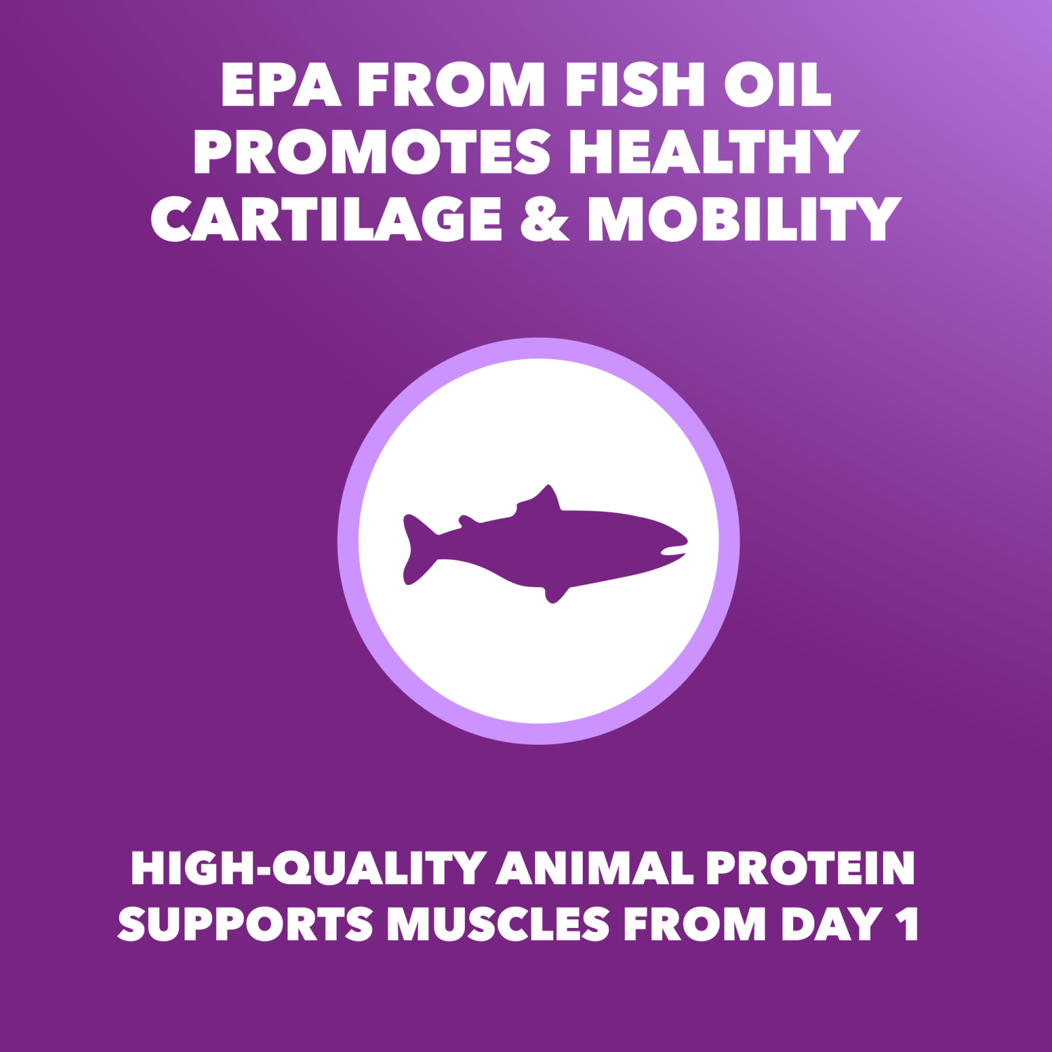 slide 4 of 8, IAMS Advanced Health Adult 1+ Mobility Support Super Premium Chicken & Whole Grain Recipe Dog Food 6 lb, 6 lb