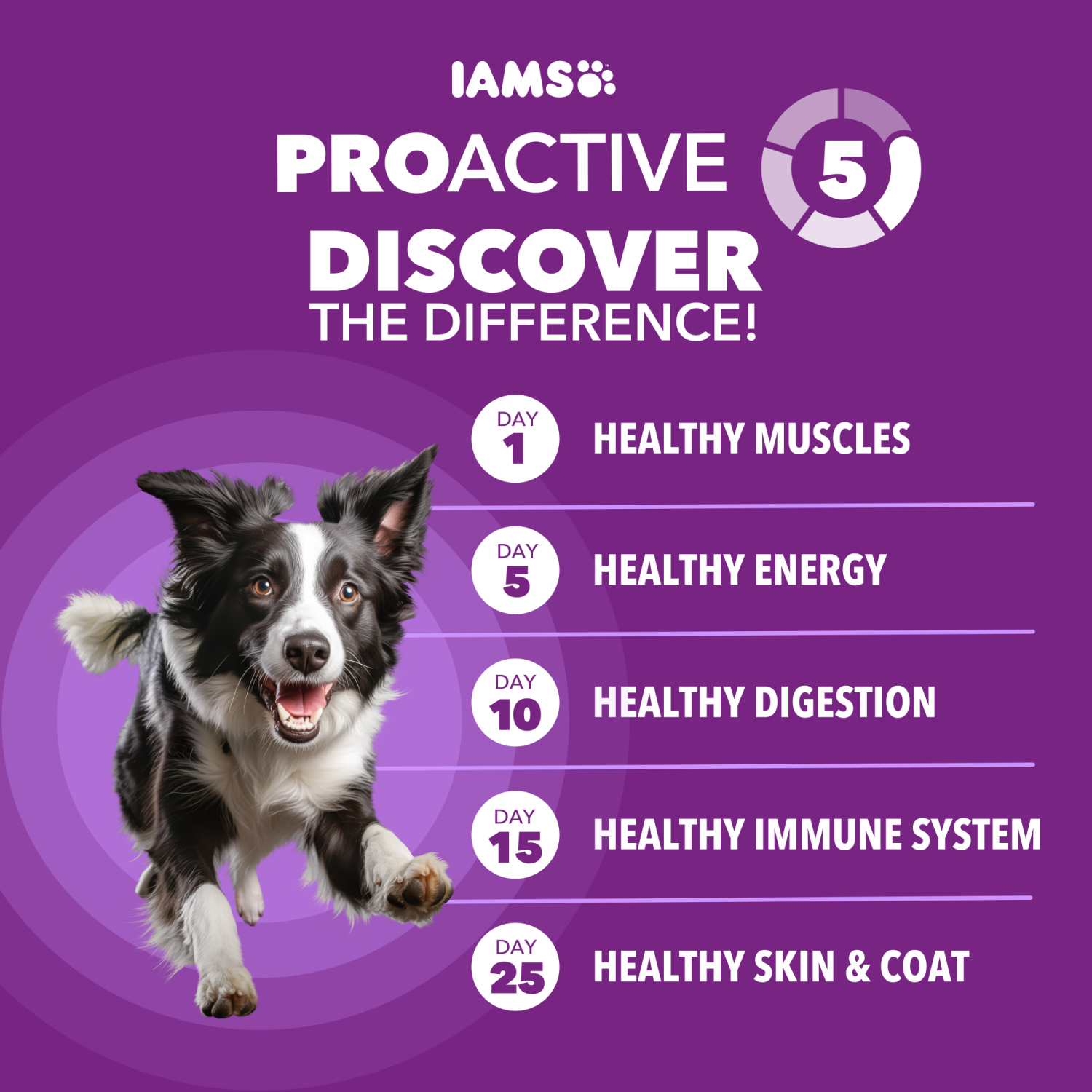 slide 6 of 8, IAMS Advanced Health Adult 1+ Mobility Support Super Premium Chicken & Whole Grain Recipe Dog Food 6 lb, 6 lb