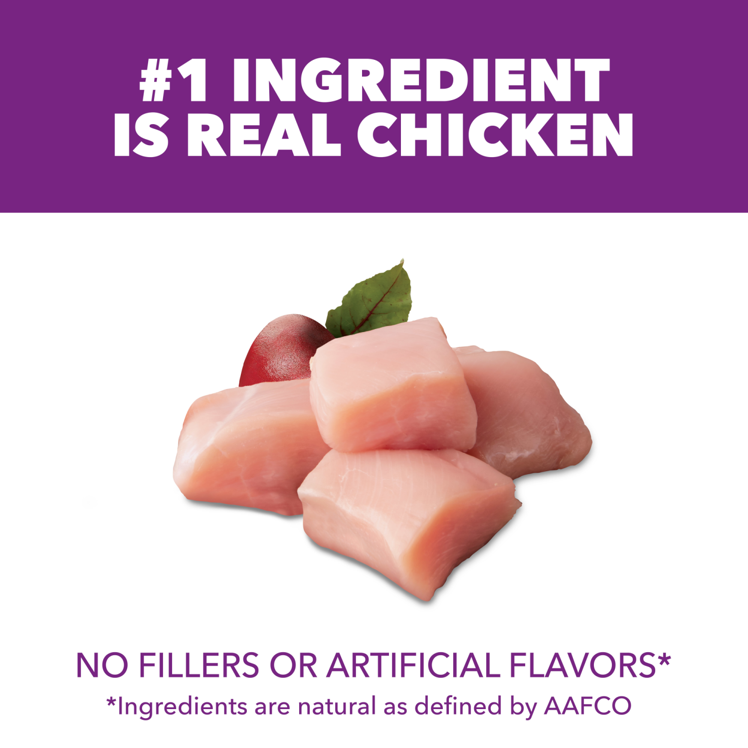 slide 7 of 8, IAMS Advanced Health Adult 1+ Mobility Support Super Premium Chicken & Whole Grain Recipe Dog Food 6 lb, 6 lb